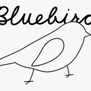 Blue Bird