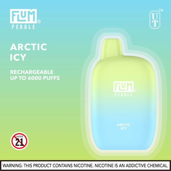 FLUM Pebble 6000 Puffs 10pk - Image 4