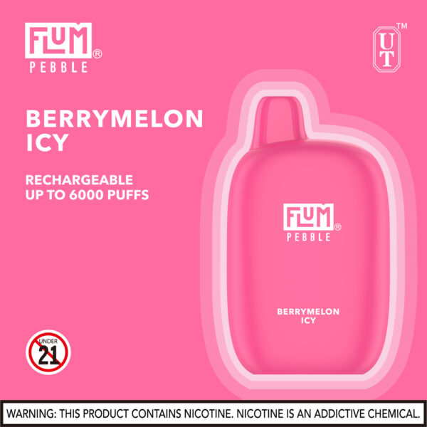 FLUM Pebble 6000 Puffs 10pk - Image 5