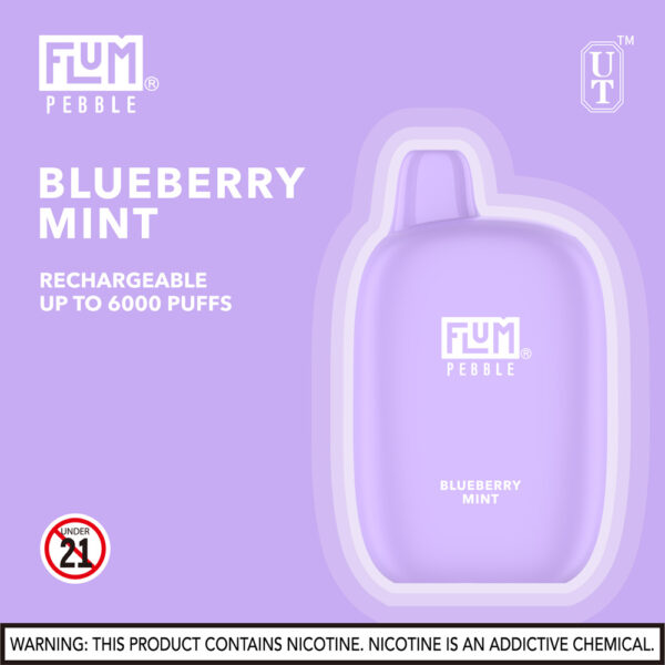 FLUM Pebble 6000 Puffs 10pk - Image 9