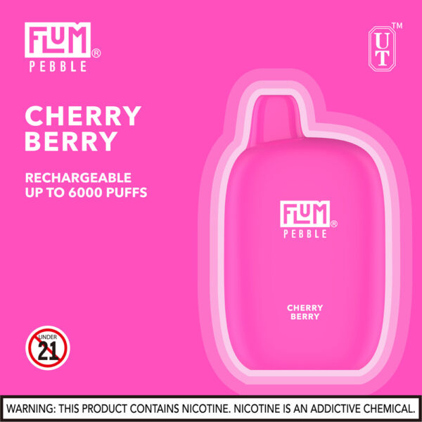 FLUM Pebble 6000 Puffs 10pk - Image 11