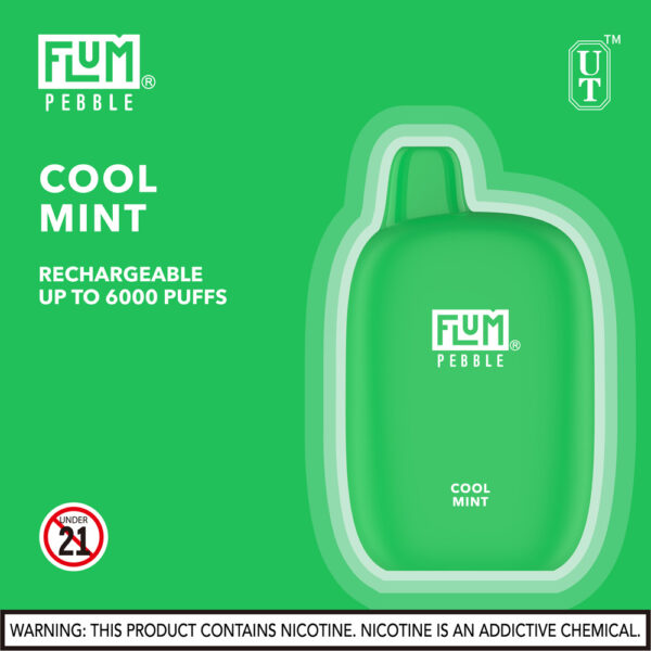 FLUM Pebble 6000 Puffs 10pk - Image 13
