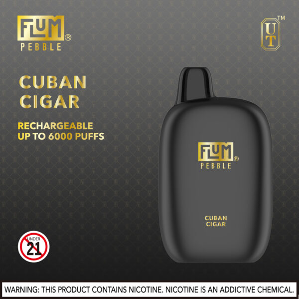 FLUM Pebble 6000 Puffs 10pk - Image 14