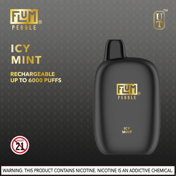 FLUM Pebble 6000 Puffs 10pk - Image 16