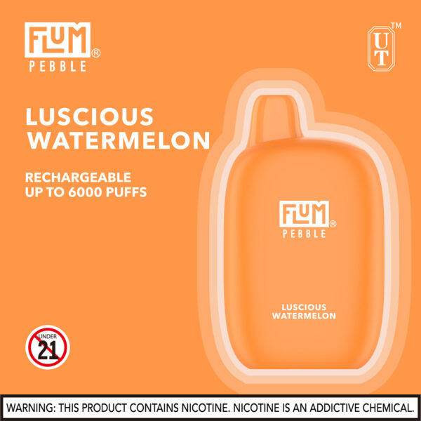 FLUM Pebble 6000 Puffs 10pk - Image 17