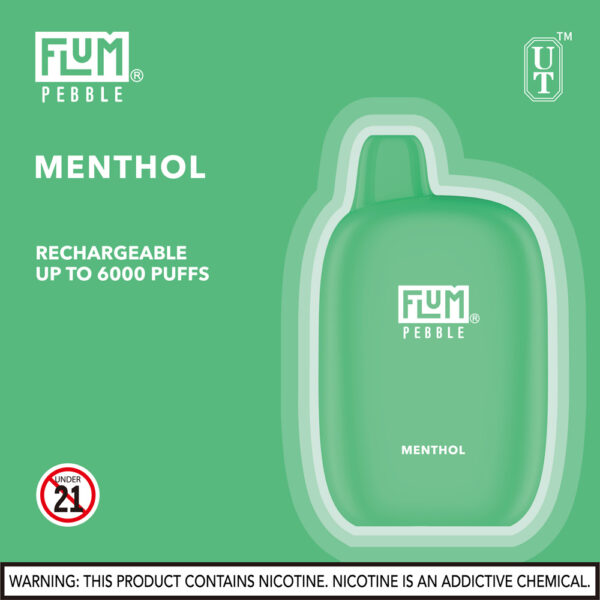 FLUM Pebble 6000 Puffs 10pk - Image 19