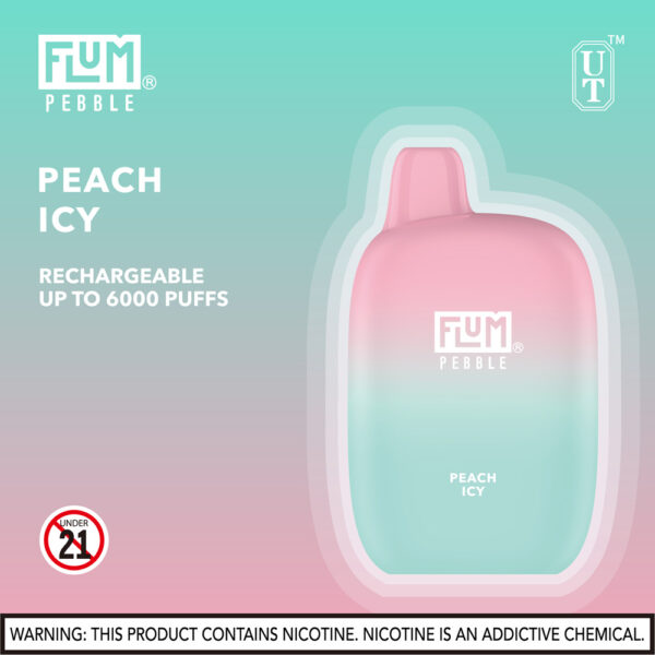 FLUM Pebble 6000 Puffs 10pk - Image 21