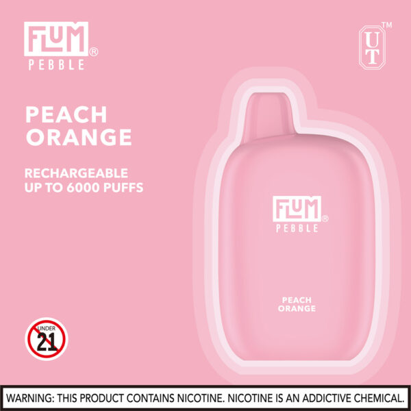 FLUM Pebble 6000 Puffs 10pk - Image 22