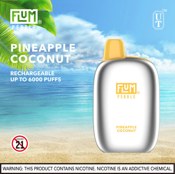 FLUM Pebble 6000 Puffs 10pk - Image 23