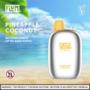 FLUM Pebble 6000 Puffs 10pk