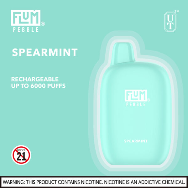 FLUM Pebble 6000 Puffs 10pk - Image 24