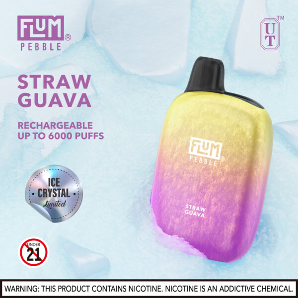 FLUM Pebble 6000 Puffs 10pk - Image 25