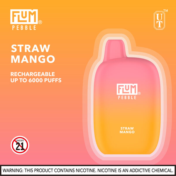 FLUM Pebble 6000 Puffs 10pk - Image 26