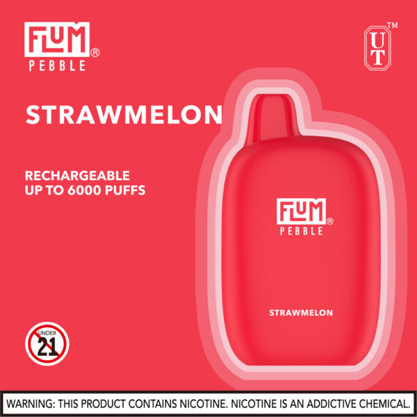 FLUM Pebble 6000 Puffs 10pk - Image 30