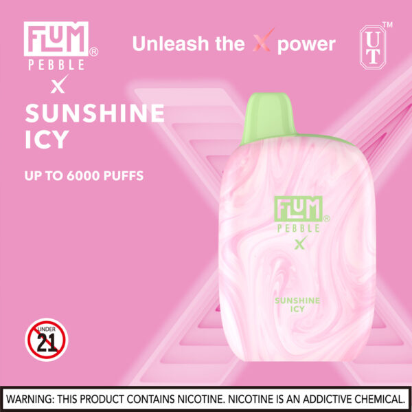 FLUM Pebble 6000 Puffs 10pk - Image 31