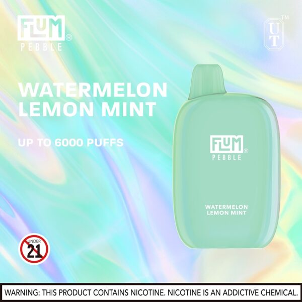 FLUM Pebble 6000 Puffs 10pk - Image 32