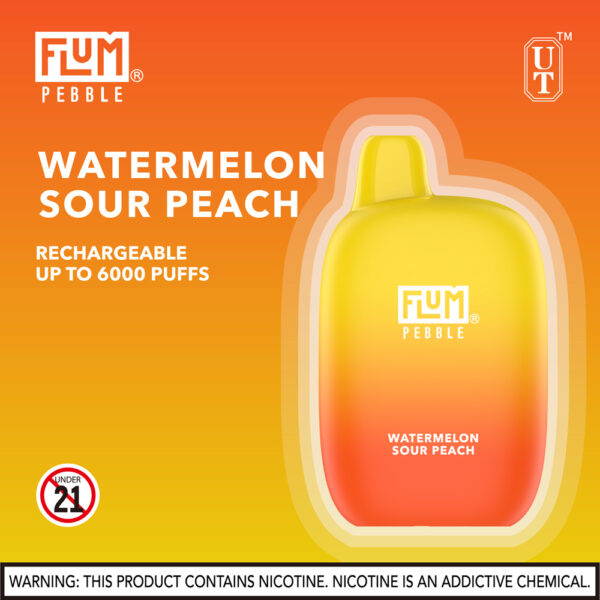 FLUM Pebble 6000 Puffs 10pk - Image 33