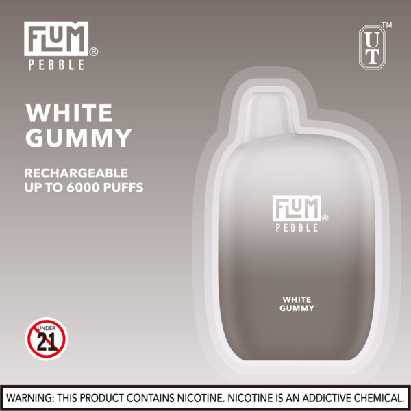 FLUM Pebble 6000 Puffs 10pk - Image 34