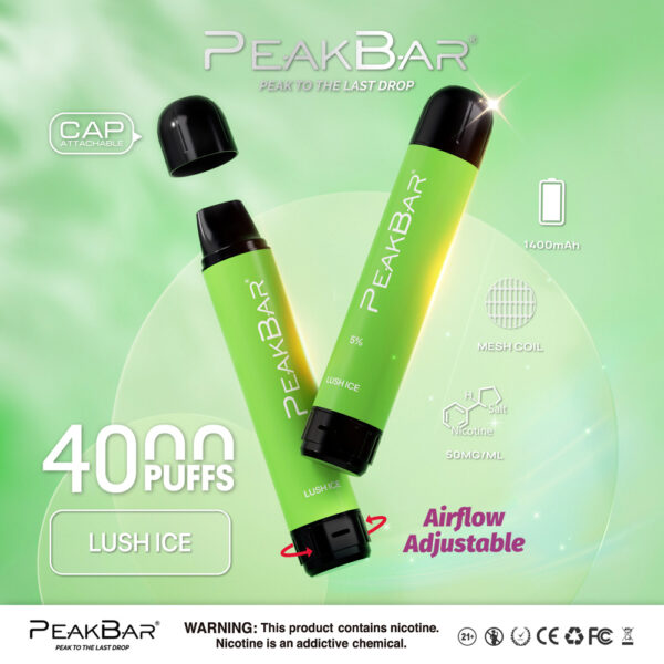 Peak Bar 4000 Puffs 10pk - Image 15
