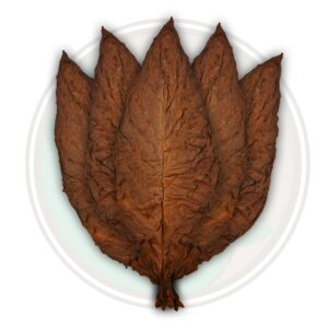 Fronto Leaf